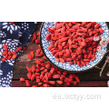 bayas de goji secas